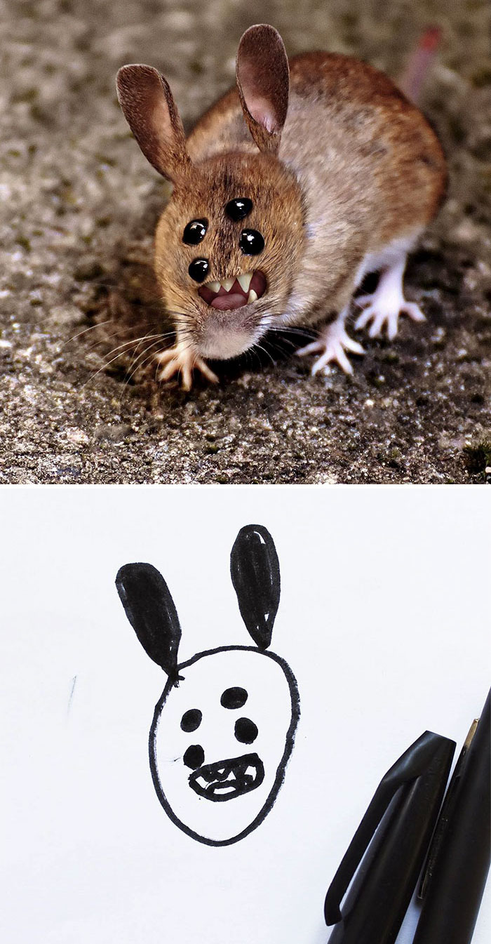 Four-Eyed Mouse In Real Life