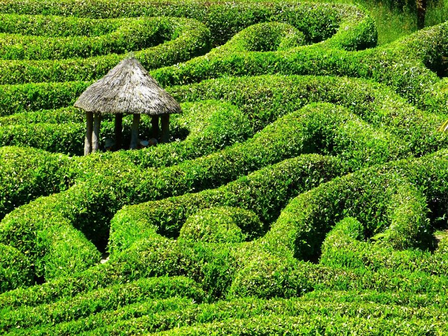 5 British Maze Gardens That Will Blow Your Mind