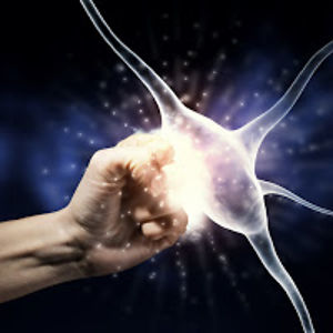 lightseraphim avatar