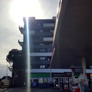 bornonbellstreet avatar