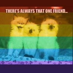 meredith2lane avatar