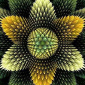 catherineabraham avatar