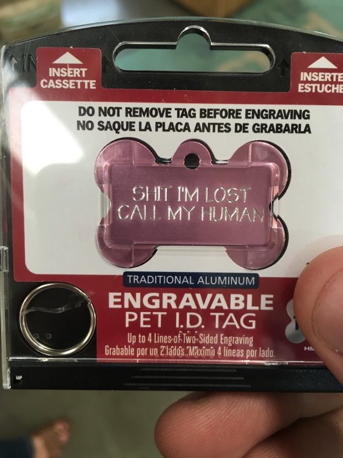 Wife Gave Me One Job To Do For The Day - To Get The Dogs Tag Engraved