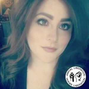 house_on_rocks avatar