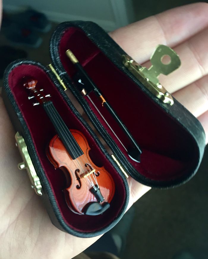 I Bought A Tiny Violin To Play When My Coworkers Or Girlfriend Complain