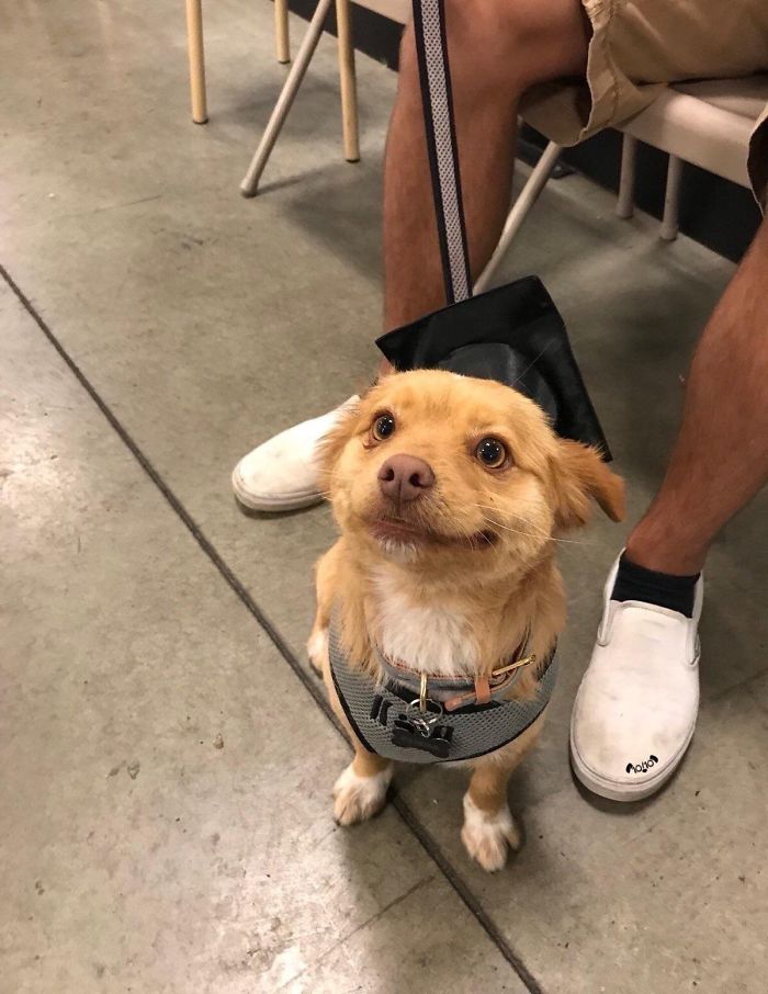 Good Graduated Boi