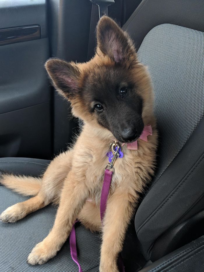 This Girl Is The Master Of Head Tilts