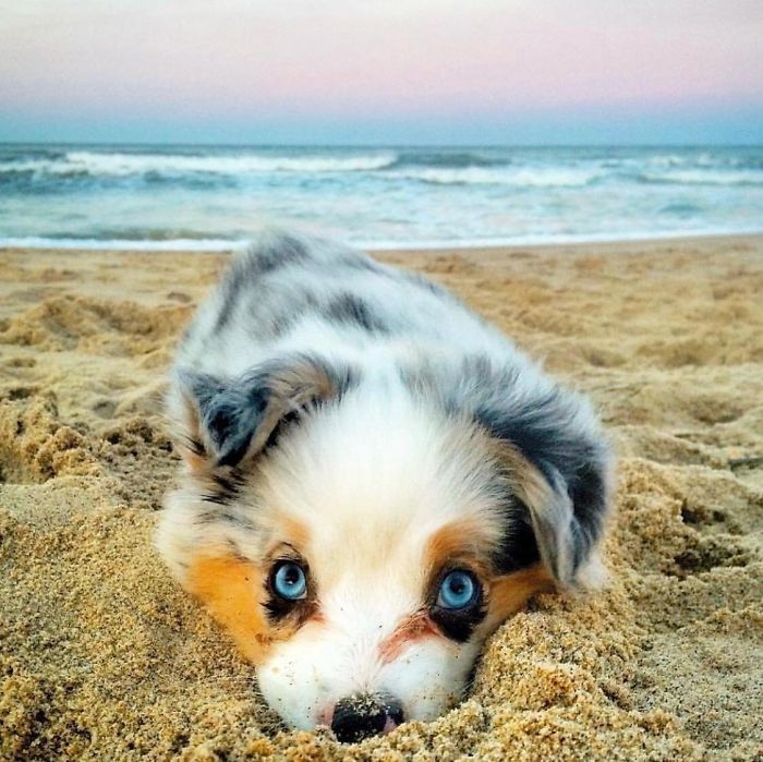 Cutest Beach Bum