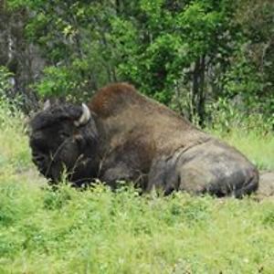 california_socrates avatar