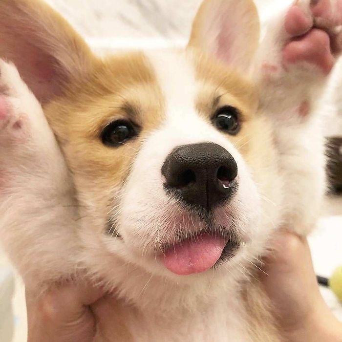 Baby Blops And Jelly Bean Toes