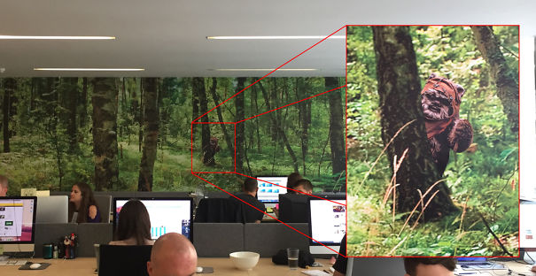 We Have A Wallpaper Forest On One Of The Walls At Work. I Wonder How Long Till The Boss Notices My Upgrade