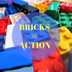bricksinaction