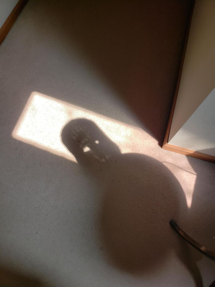 This Shadow In My House Looks Like Darth Vader