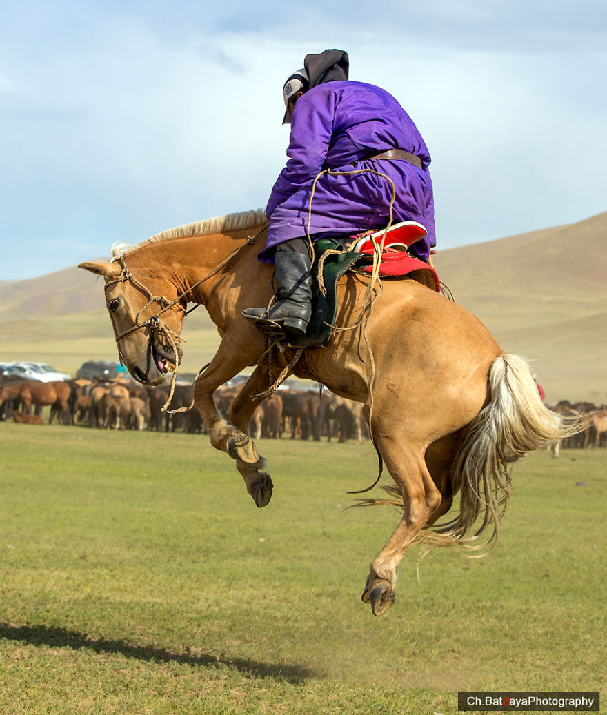 I Captured Horse Photos Showing Mongolia's Unchanged Nomadic Culture