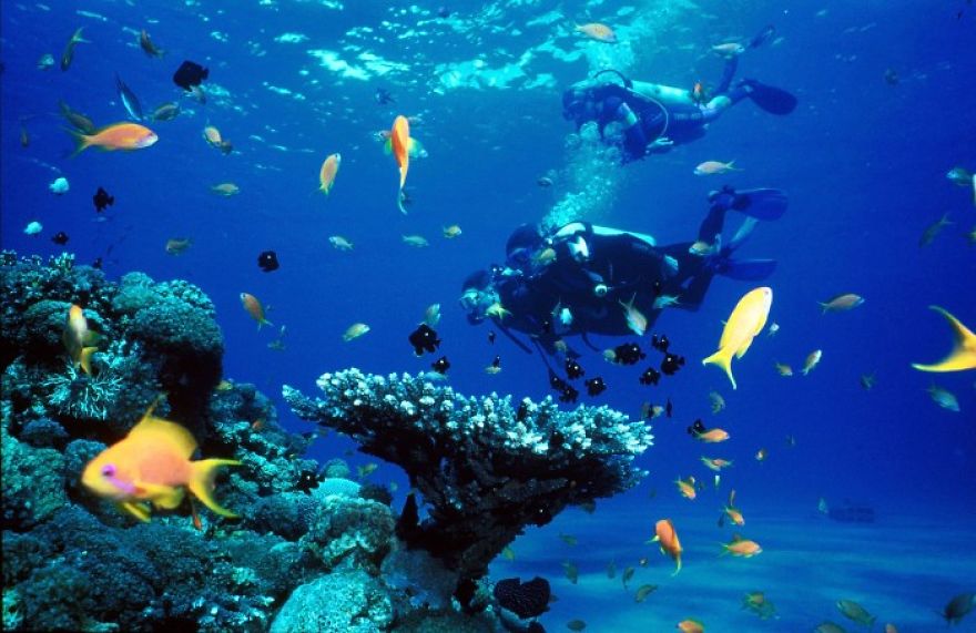 Andaman - A Perfect Destination To Travel Andaman - A Perfect Destination To Travel