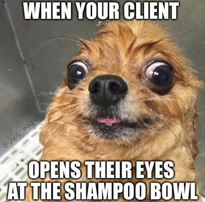 Funny Memes That Will Make You Feel Bad For Your Hairstylist | Bored Panda