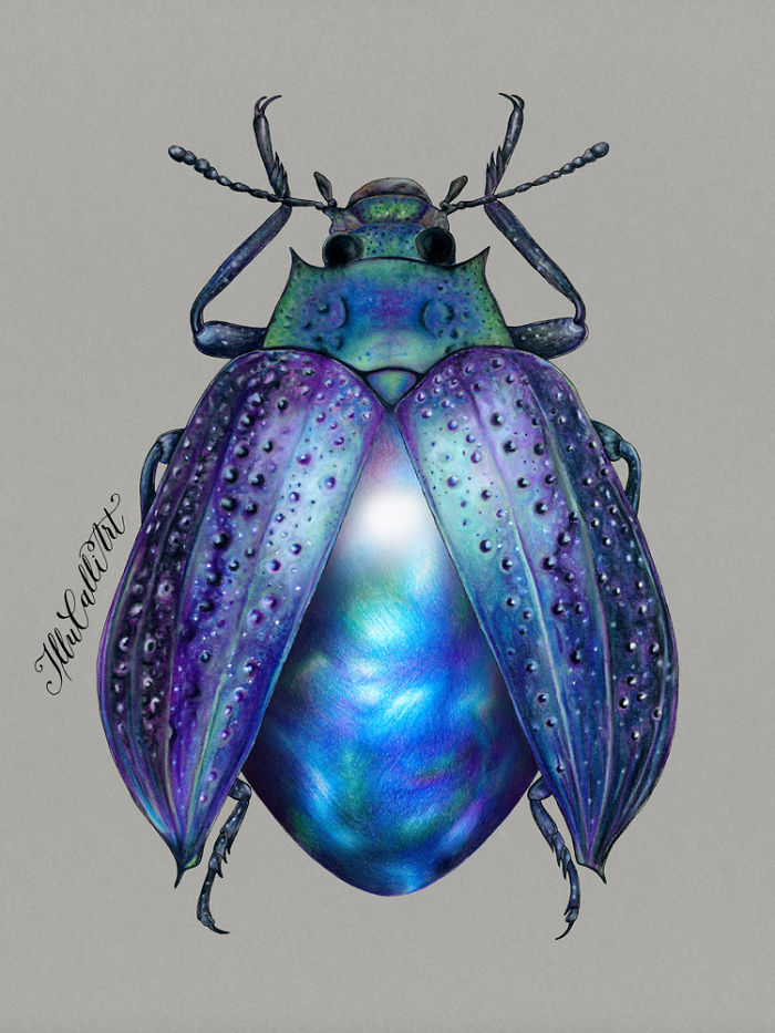 I Drew Beetles That Hide Colourful Minerals Underneath Their Shiny Wing Cases