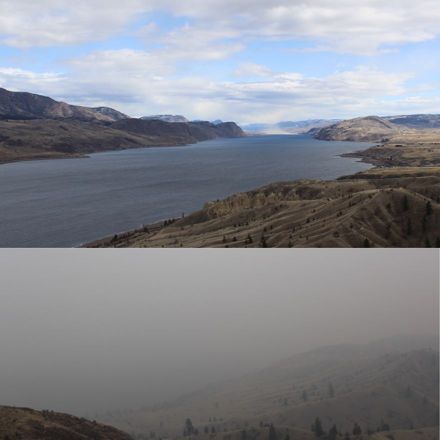 Wildfire Season