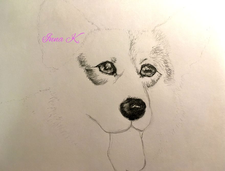 I Make Exclusive, Life-Like Portraits Of Pets And Here Is The Progress