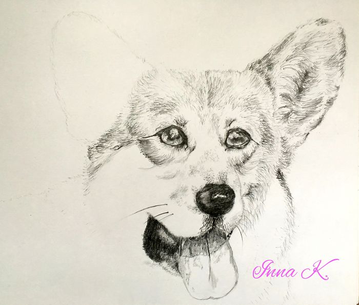 I Make Exclusive, Life-Like Portraits Of Pets And Here Is The Progress