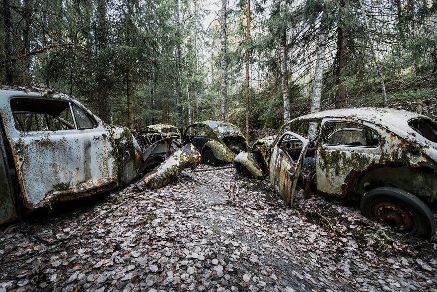 Abandoned Cars, Sweden