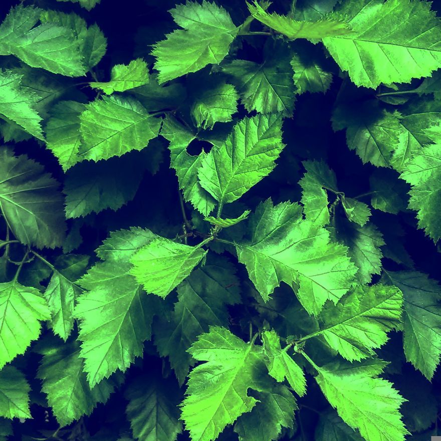 Artistic Instagram Photos