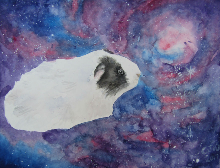 I Paint Animals In Space I Paint Animals In Space