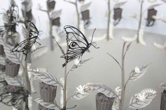 I’m Building A Unique Attraction In Which You Experience The Metamorphosis Of A Butterfly!