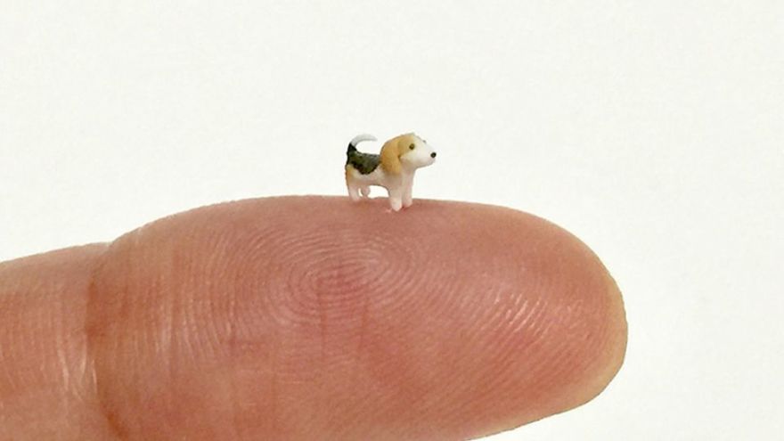 Japanese Artist Kakuho Fujii Creates Tiniest Animal Sculptures