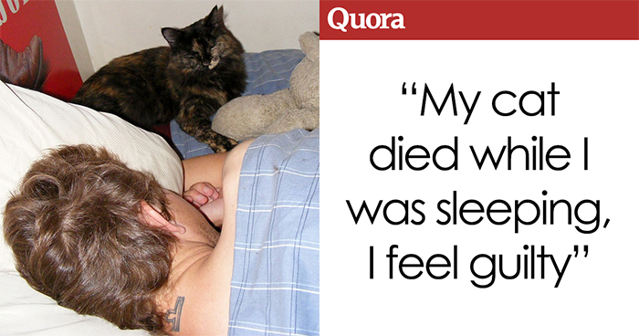 Someone Asks How They Can Stop Feeling Guilty After Their Cat Dies In Their Bedroom, The Internet Delivers
