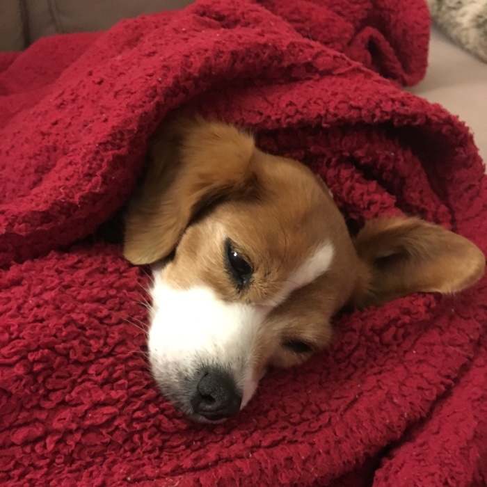 Abandoned At 4 Months