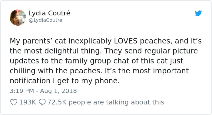 This Adorable Cat Loves Peaches And People On The Internet Are Losing Their Minds