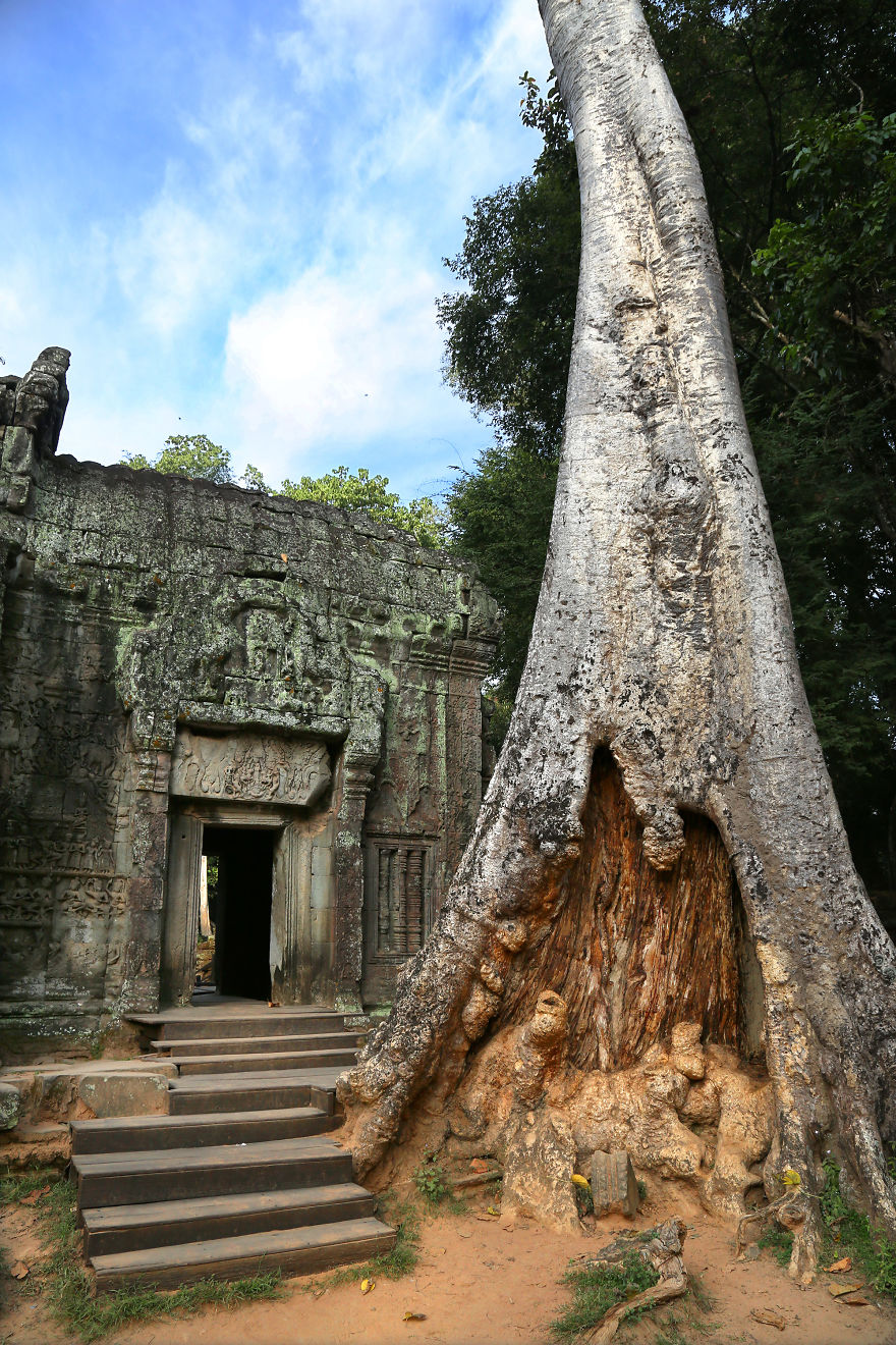 With Its Trees Growing Out Of The Ruins And The Jungle All Around, Ta Prohm Is Pure Magic