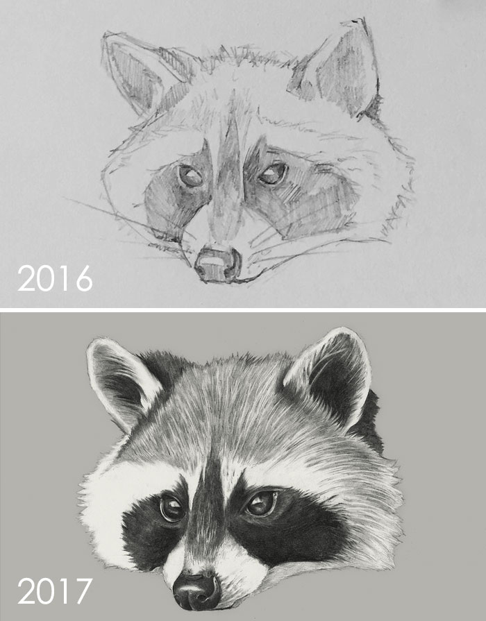 One Year Drawing Progress