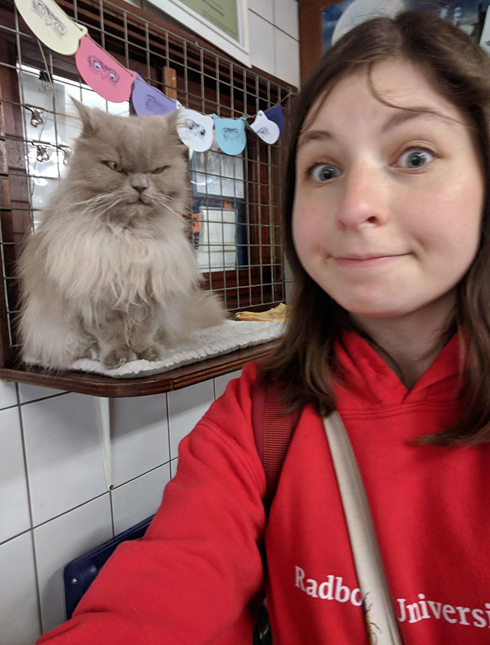 I Visited A Cat Shelter On A Houseboat In Amsterdam And Met A Very Friendly Face