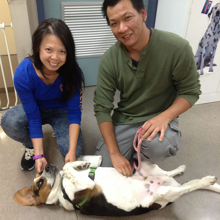 Woof! Gilbert Here Again. I Was Adopted Yesterday. Here I Am Getting A Belly Rub From My New Family