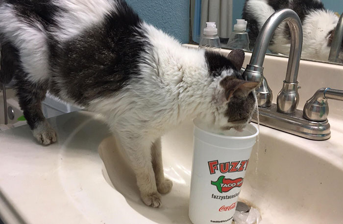 He Has A Very Specific Drinking Ritual