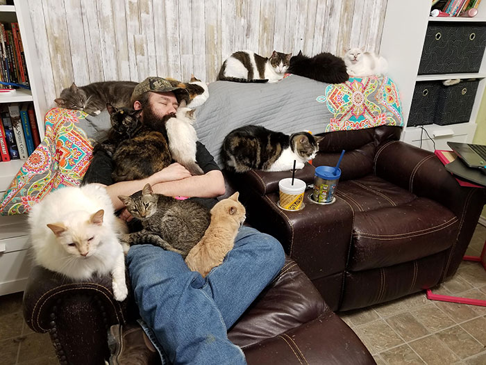 Sundays At A Cat Rescue