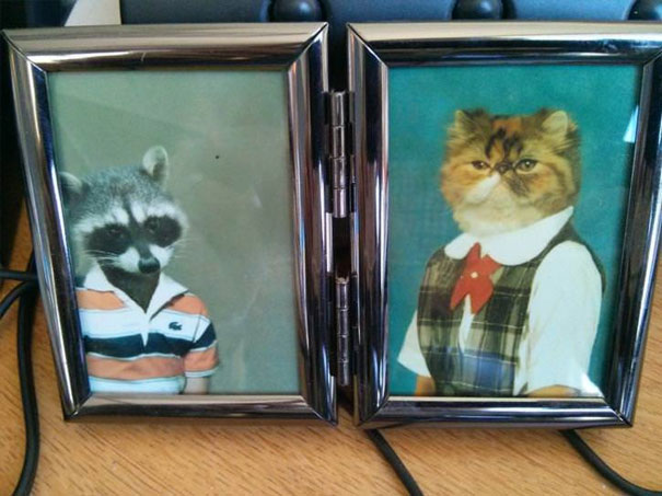 Today Is My Coworker's Last Day. She Told Me I Could Have Her Family Pictures