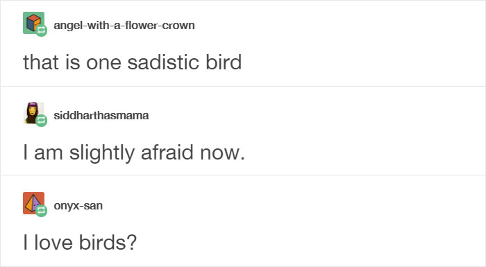 Tumblr Users Share Hilariously Unbelievable Encounters That Prove Parrots Have Sense Of Humor