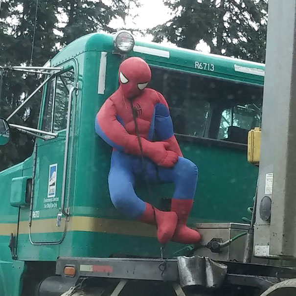 Looks Like Spiderman Is Catching A Ride