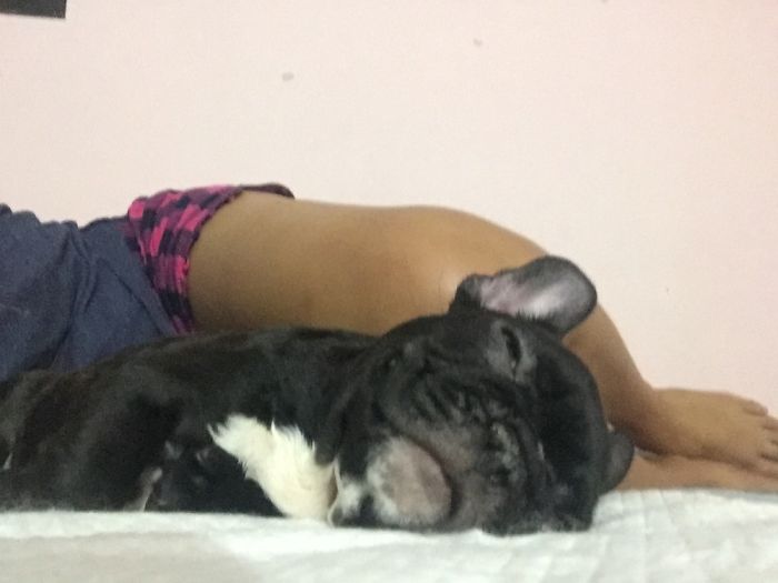 Life Of Taz