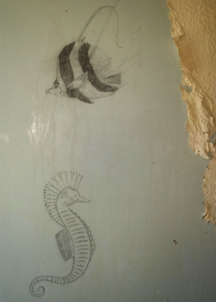 Found Some Nice Drawings Under The Wallpaper I'm Removing