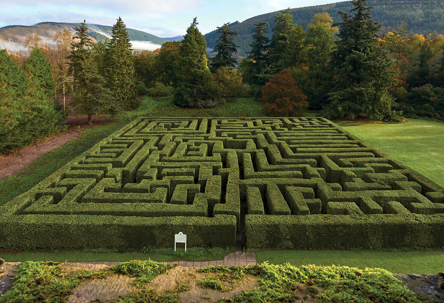5 British Maze Gardens That Will Blow Your Mind