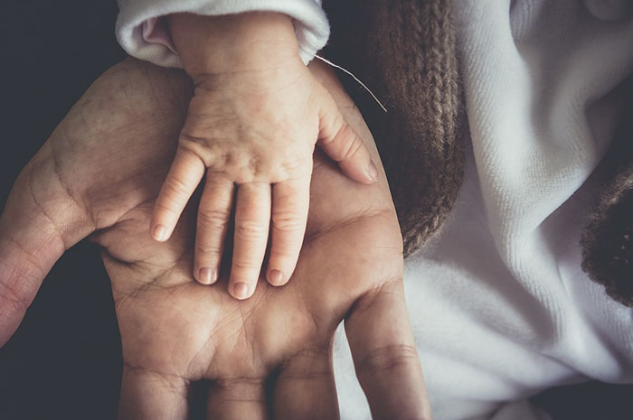 Hands of adult and child