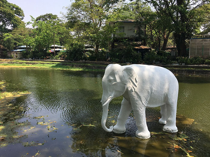 White Elephant sculpture