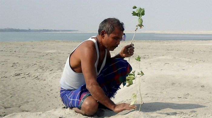 Almost 40 Years Ago A 16-Year-Old Started Planting A Tree Every Day On A Remote Island, And Now It's Unrecognizable