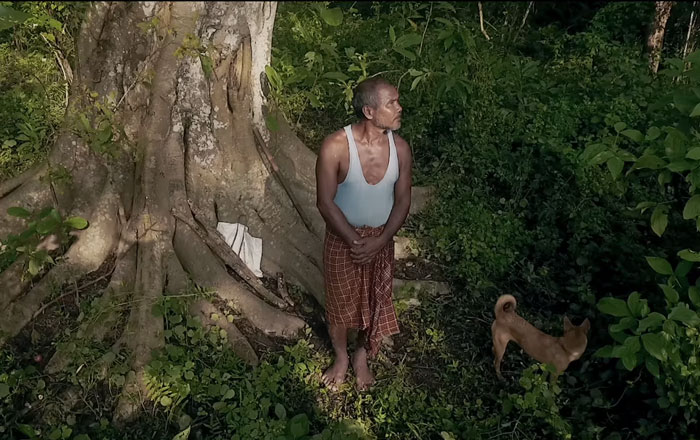 Almost 40 Years Ago A 16-Year-Old Started Planting A Tree Every Day On A Remote Island, And Now It's Unrecognizable