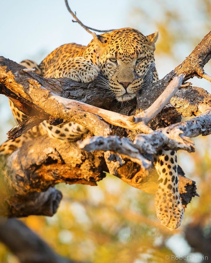 Steve Irwin's 14-Year-Old Son Is An Award-Winning Photographer And Here Are 50 Photos To Prove It