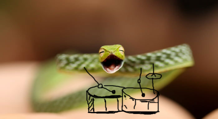 Snake The Drummer
